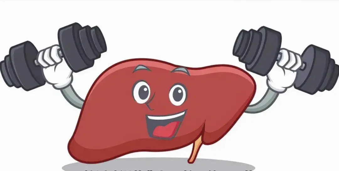 春天來了，你的肝還好嗎？